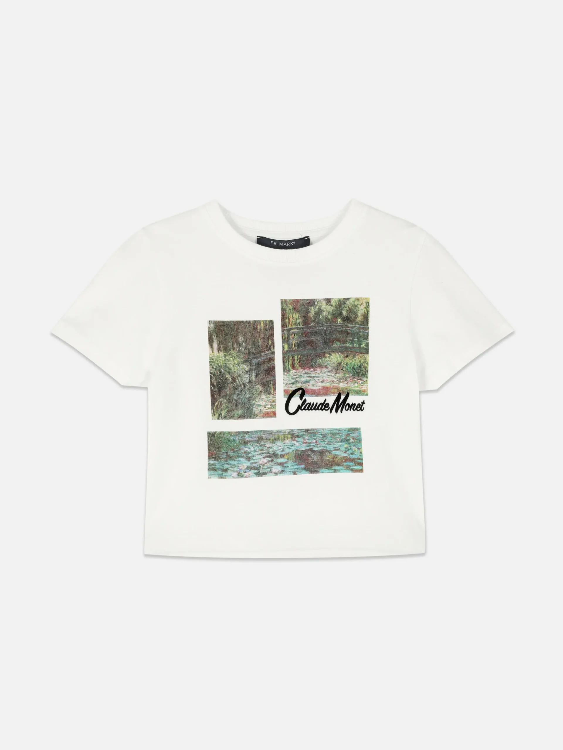 Claude Monet Graphic Cropped T-Shirt|Primark Sale