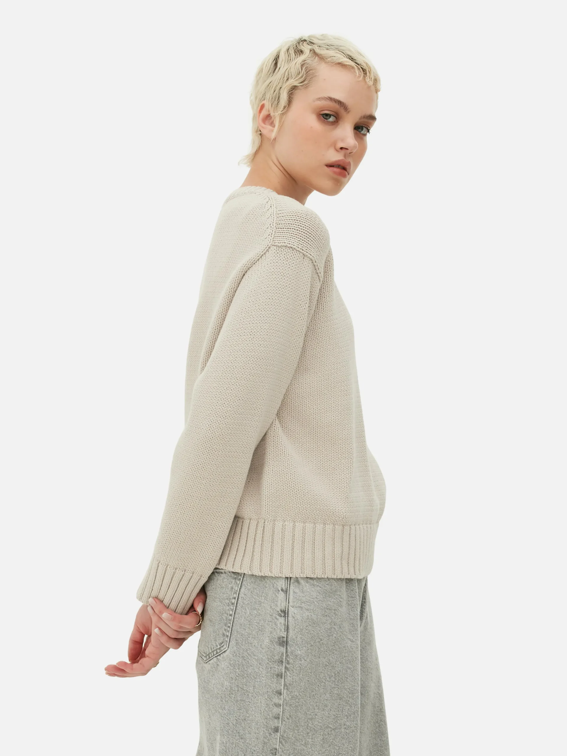Crew Neck Sweater|Primark