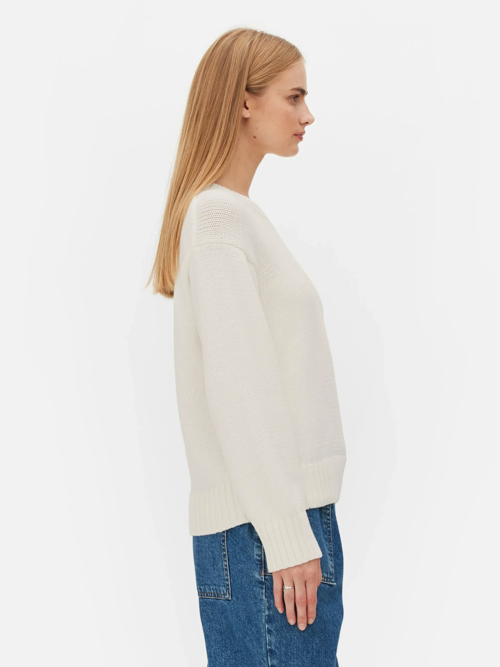 Crew Neck Sweater|Primark Outlet