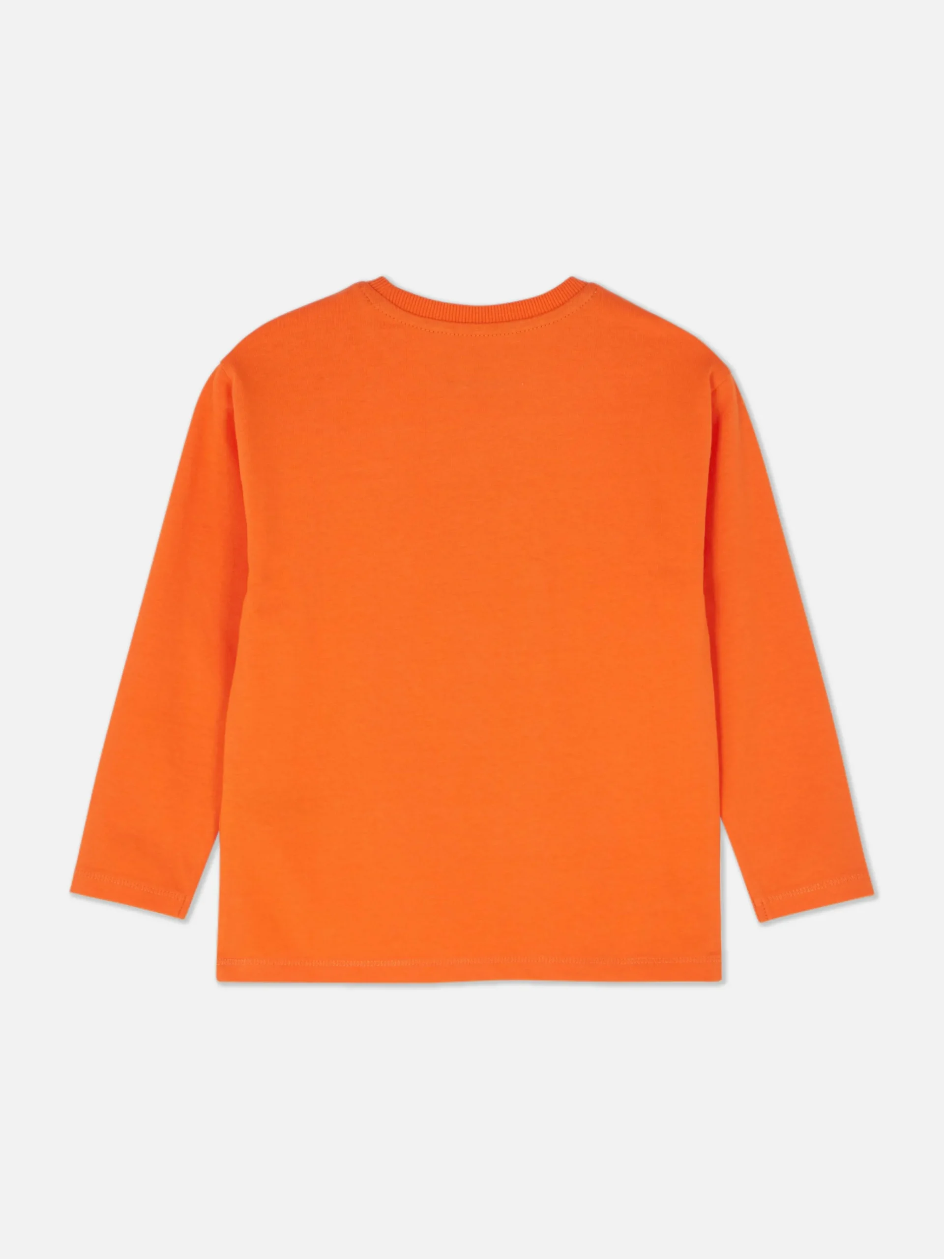 Dinosaur Print Long Sleeve Halloween T-Shirt|Primark Discount