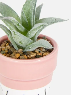Faux Succulent In Colorful Pot|Primark Best