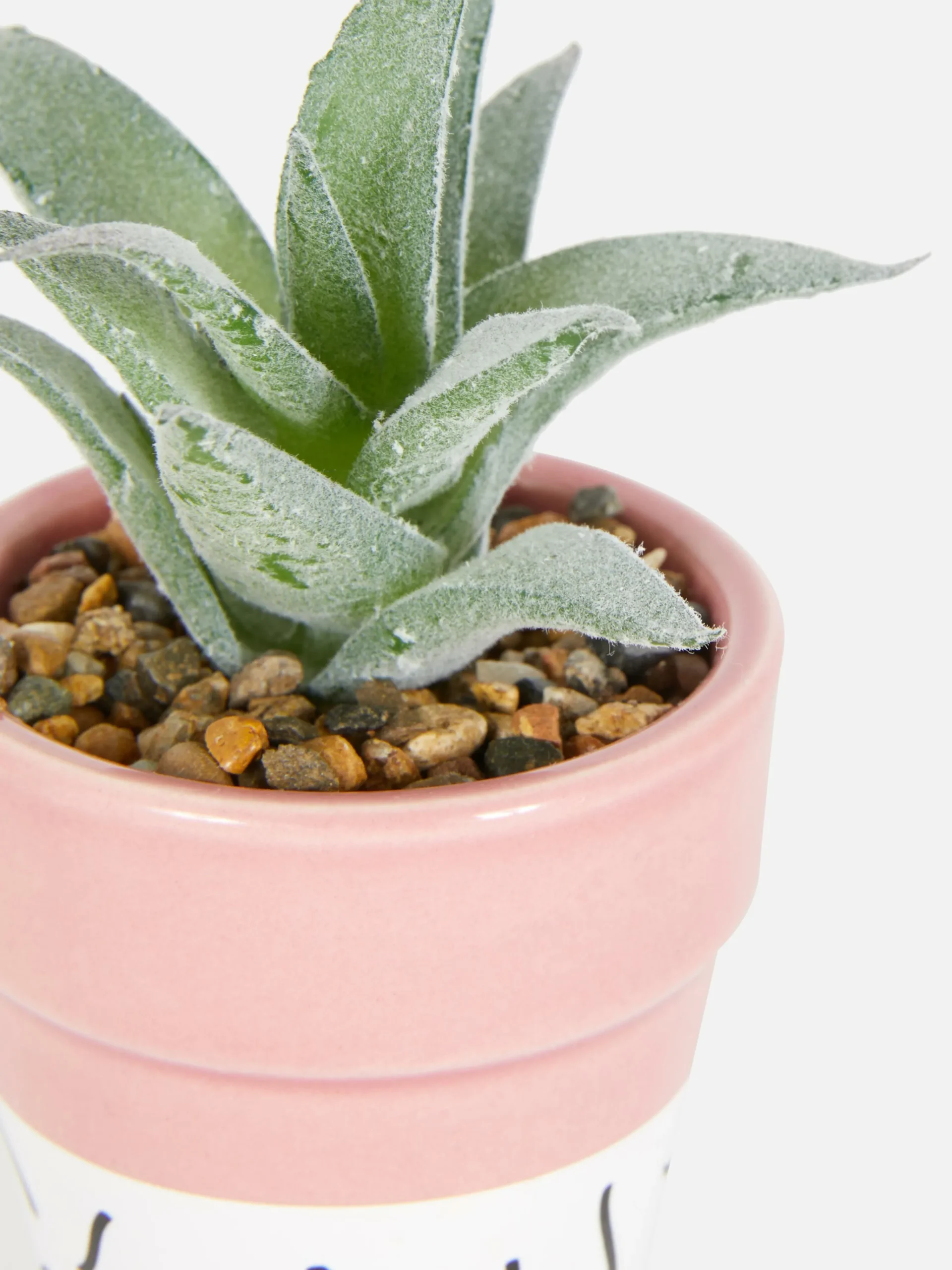 Faux Succulent In Colorful Pot|Primark Best