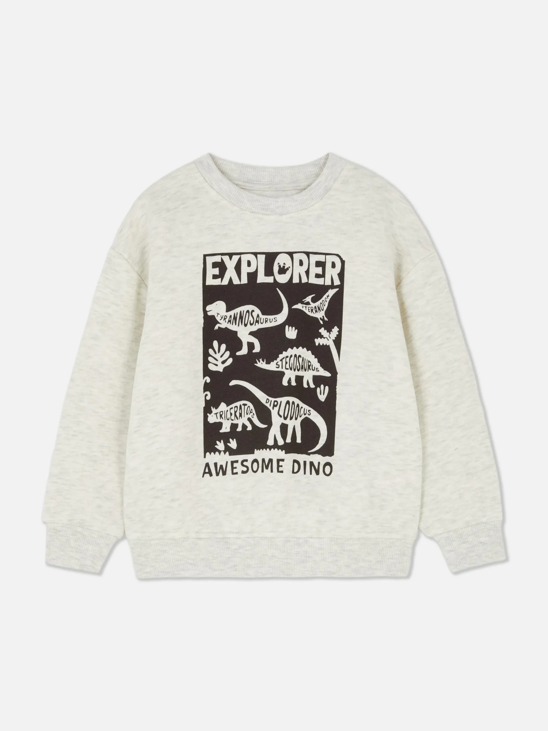 Graphic Sweatshirt|Primark Outlet