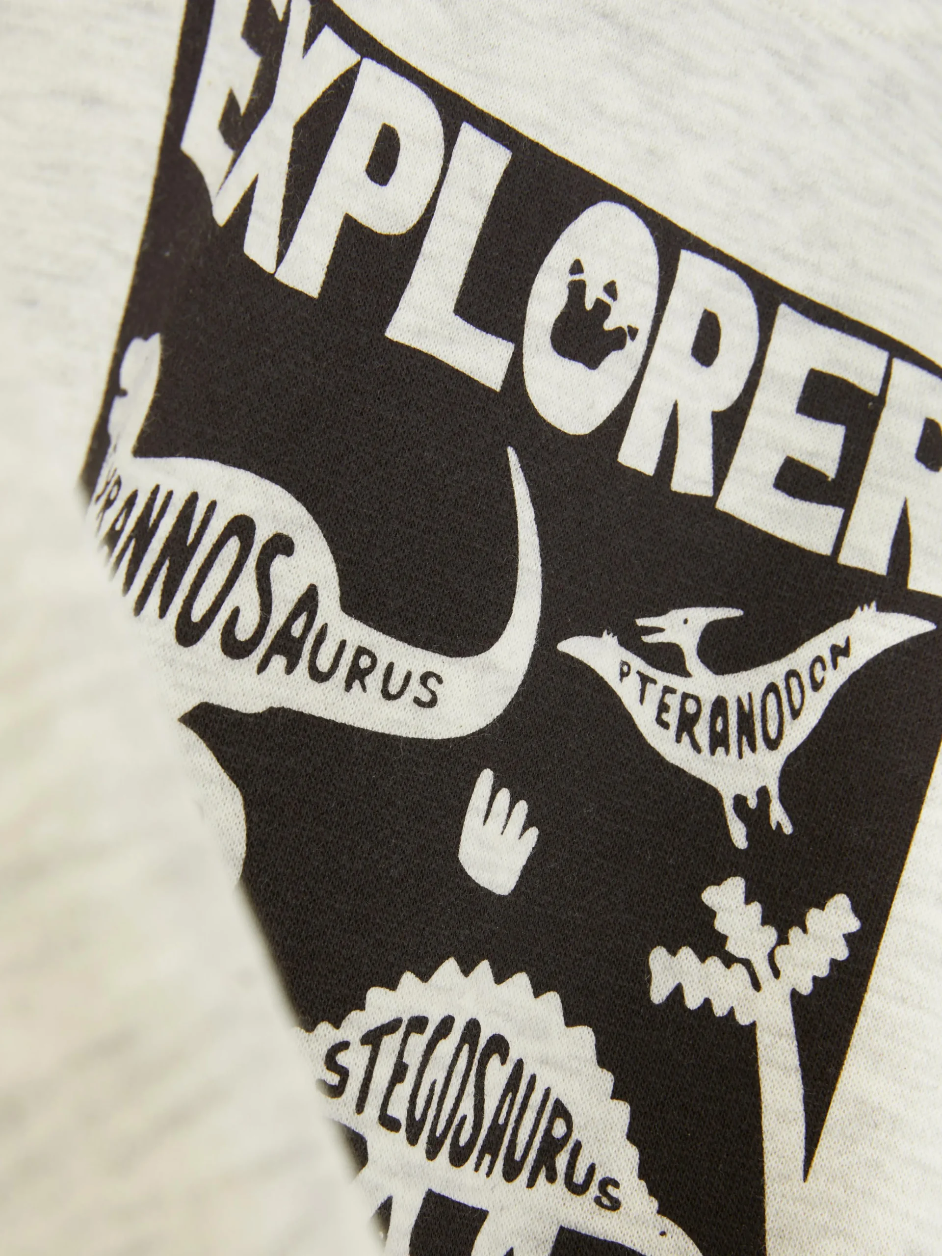 Graphic Sweatshirt|Primark Outlet