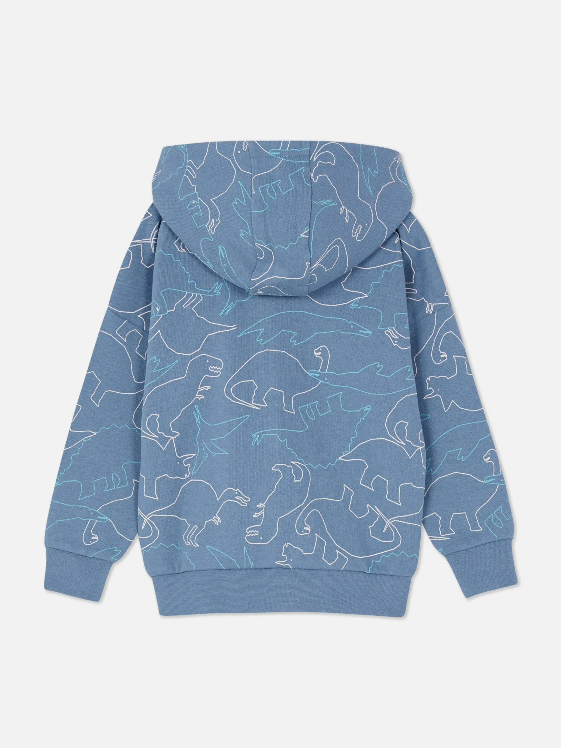 Graphic Zip Hoodie|Primark Discount