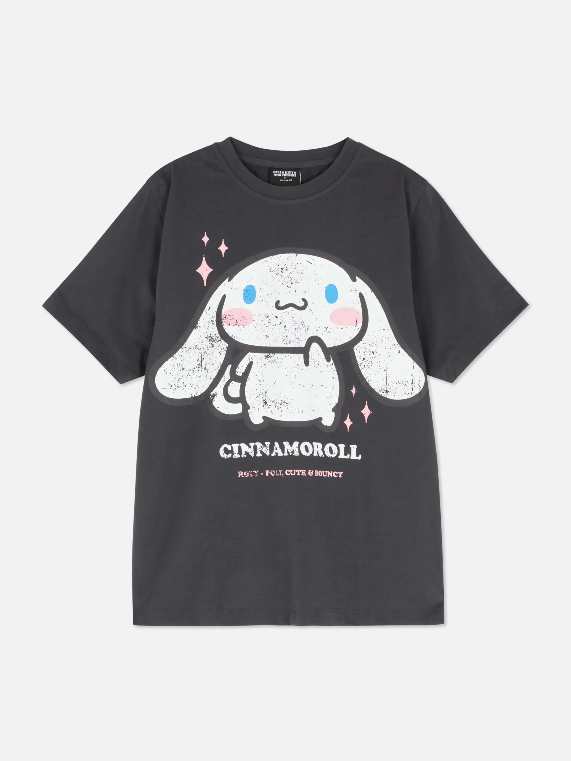 Hello Kitty Cinnamoroll Oversized T-Shirt|Primark Sale