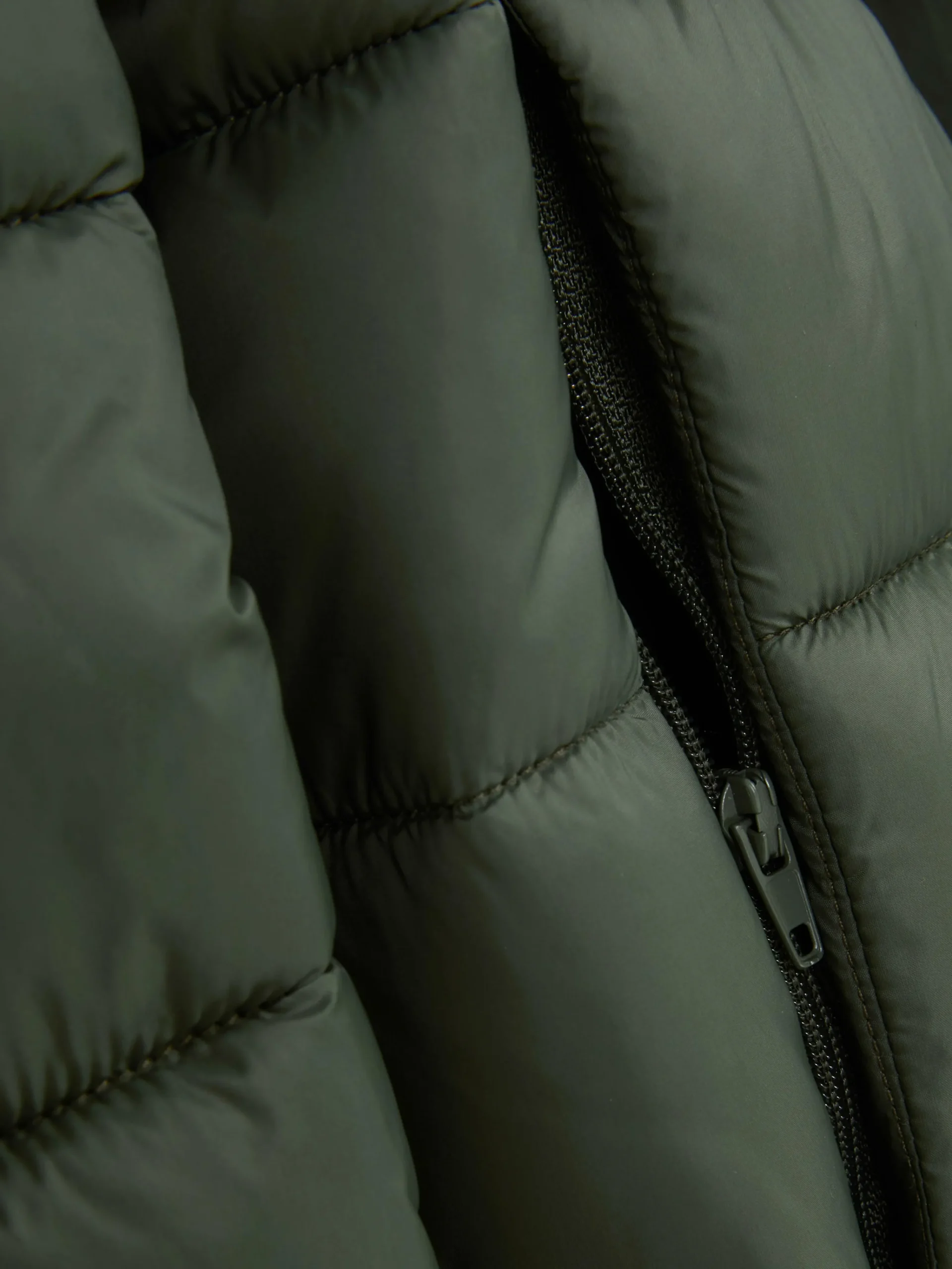 Hooded Puffer Jacket|Primark Sale