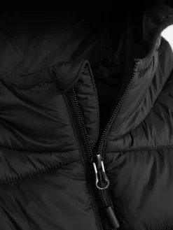 Hooded Puffer Jacket|Primark Outlet