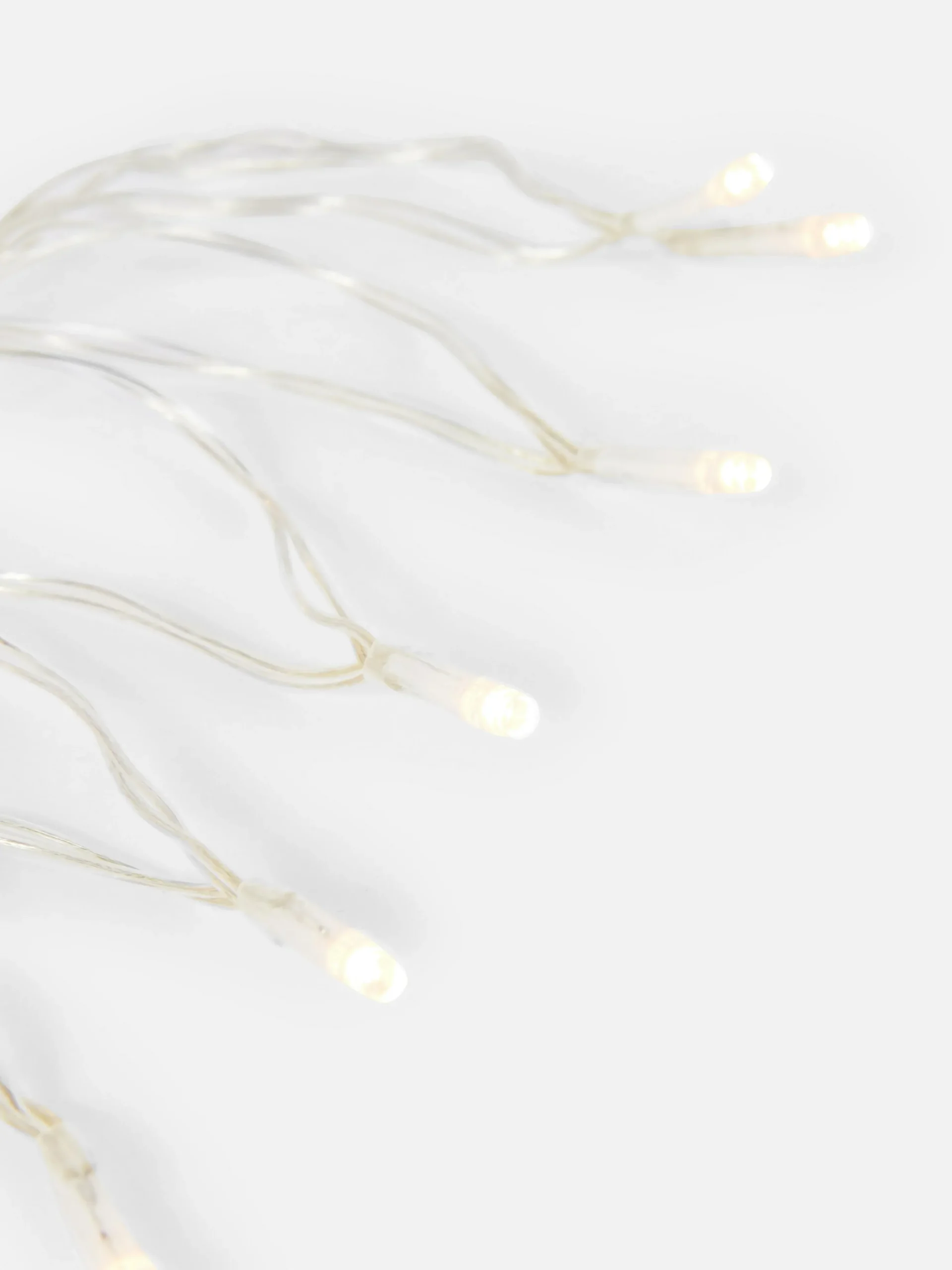 Indoor LED Fairy Lights|Primark Online