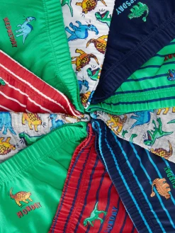 10-Pack Dinosaur Graphic Briefs|Primark