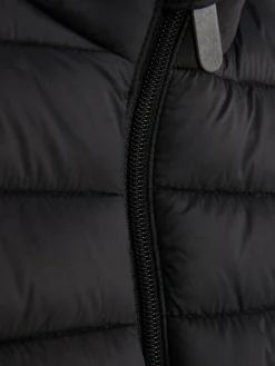 Padded Zip Vest|Primark Clearance