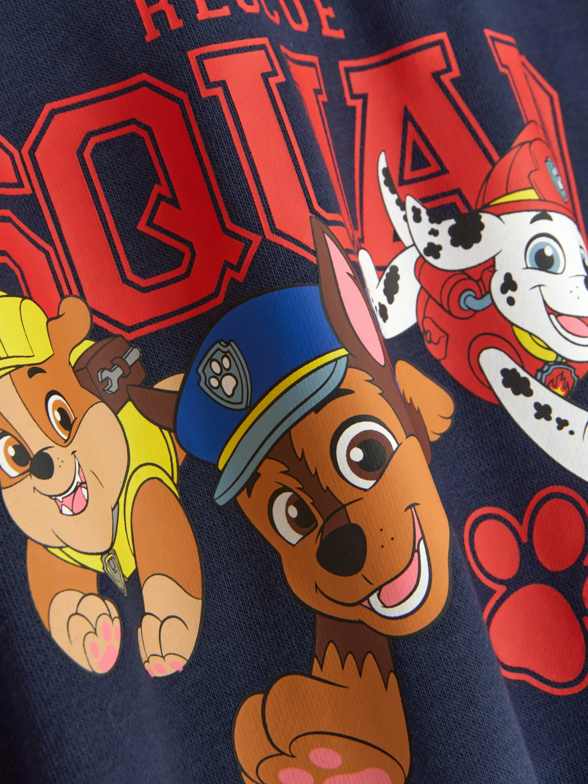 PAW Patrol Graphic Hoodie|Primark