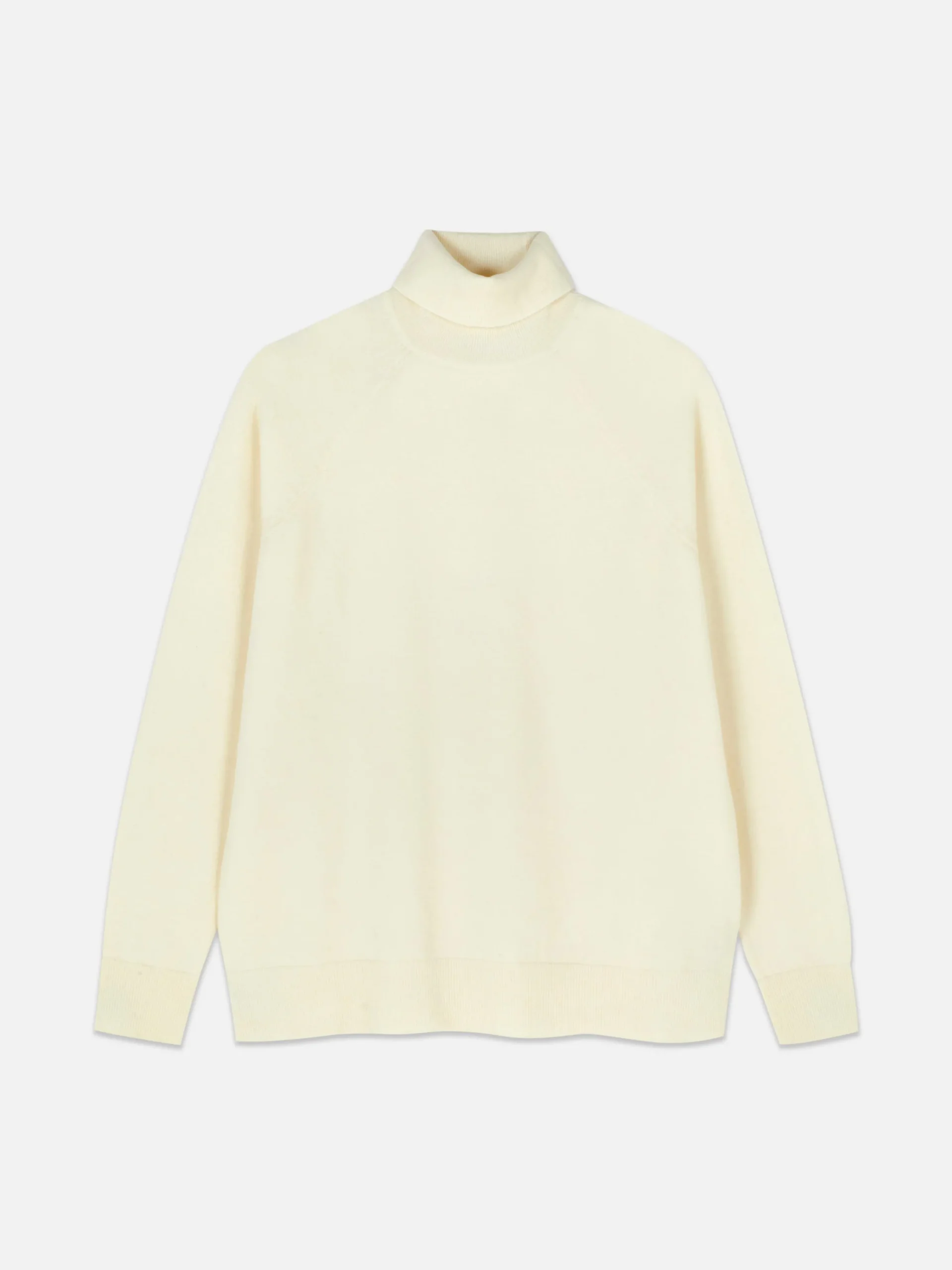 Roll Neck Long Sleeve Top|Primark Best