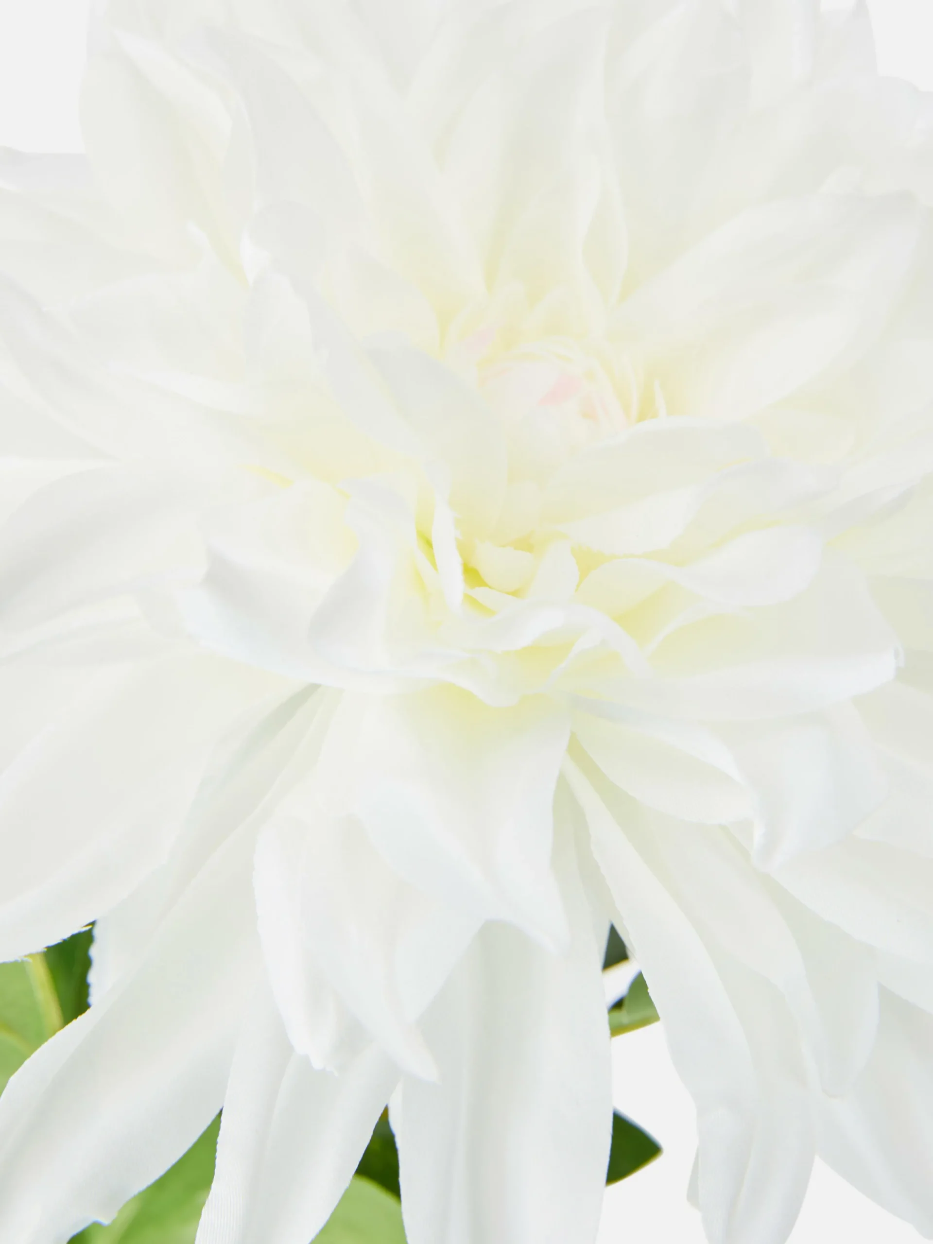 Single Stem Faux Dahlia|Primark Best