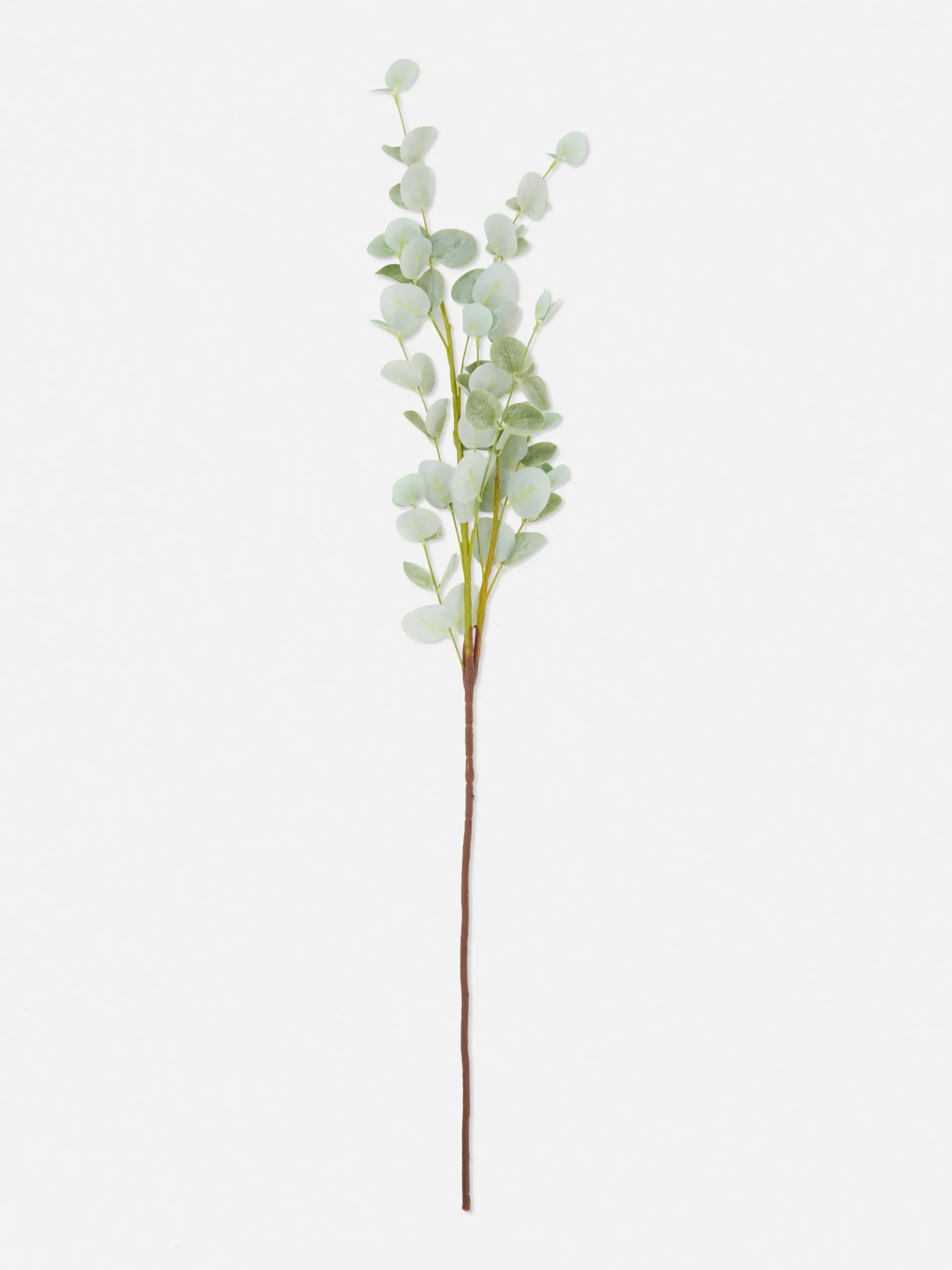 Single Stem Faux Eucalyptus|Primark Hot