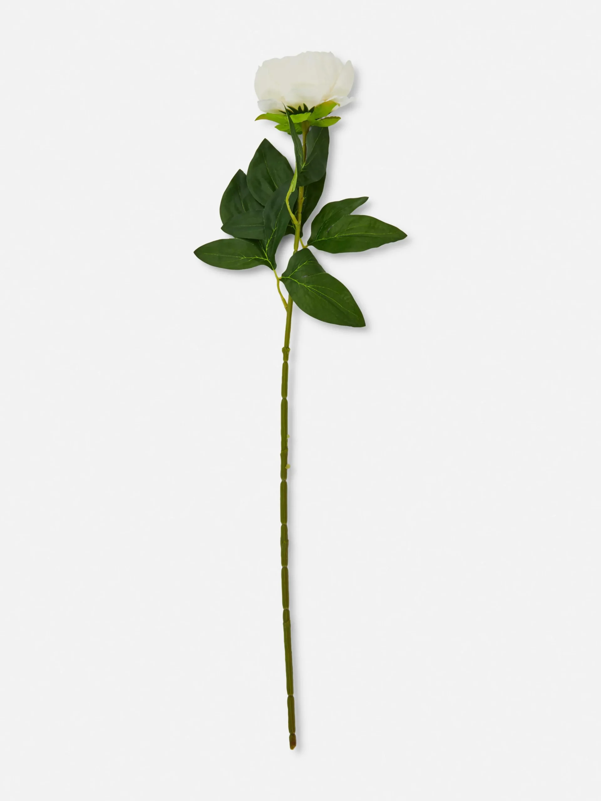 Single Stem Faux Peony|Primark Sale