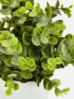 Small Faux Eucalyptus Plant|Primark New