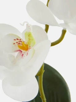 Small Potted Faux Orchid|Primark Sale