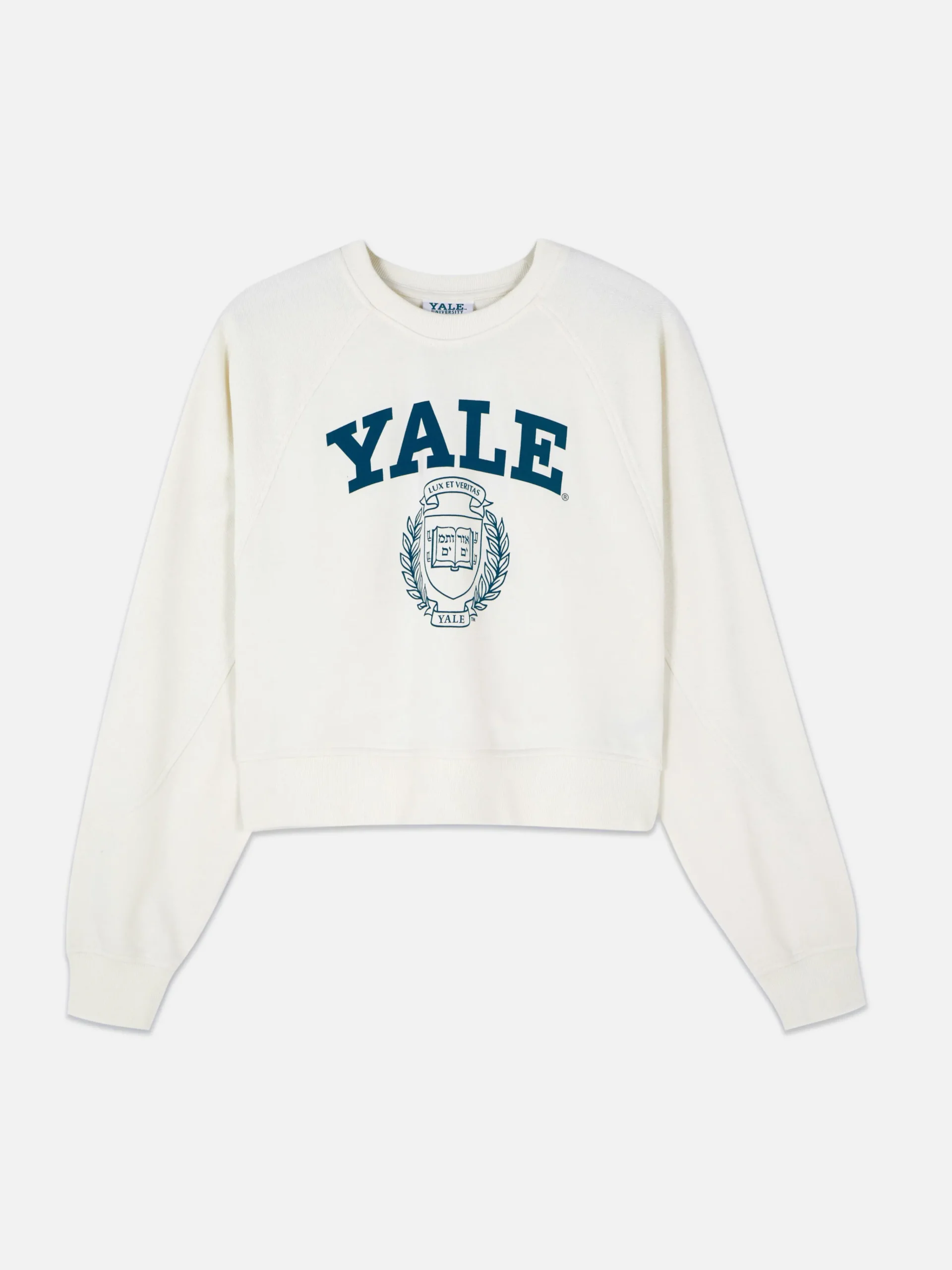 Yale Graphic Boxy Sweatshirt|Primark Online